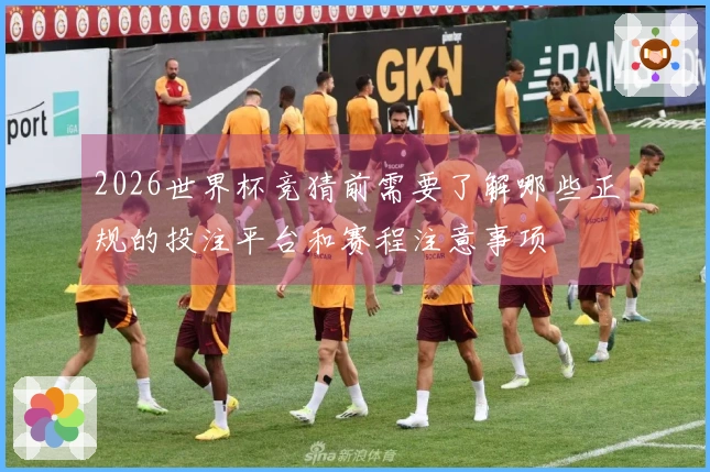 2026世界杯竞猜前需要了解哪些正规的投注平台和赛程注意事项