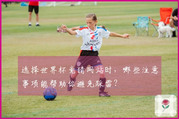 选择世界杯竞猜网站时，哪些注意事项能帮助你避免踩雷？