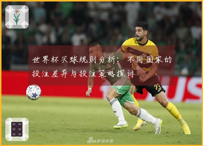 世界杯买球规则分析：不同国家的投注差异与投注策略探讨
